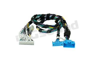 PP-PAM 55 Cavo adattatore Molex per impianti audio standard dei veicoli PSA a partire dal 2023 Match